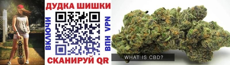 Канабис ГИДРОПОН Коммунар